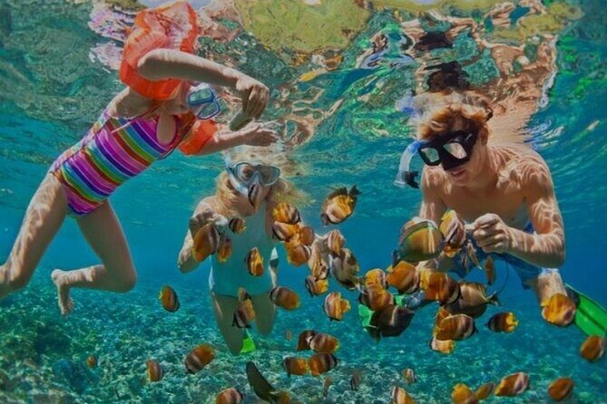 Snorkeling with Margaritaville and shops on Hipstrip activity - A Thorough Look at What to Expect