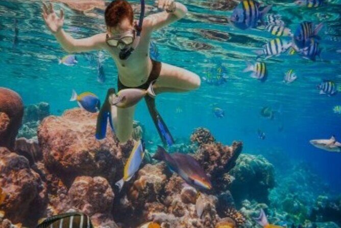 Snorkeling with Margaritaville and shops on Hipstrip activity - Who Should Consider This?