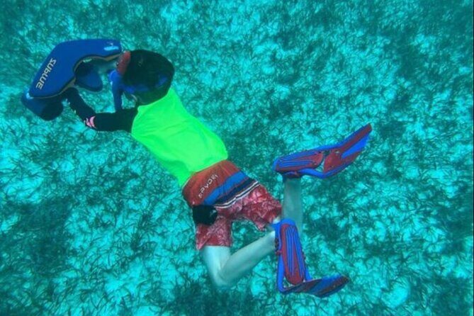Snorkeling with Sea Scooters and Sea Adventure - Offshore - Who Is This Tour Best For?