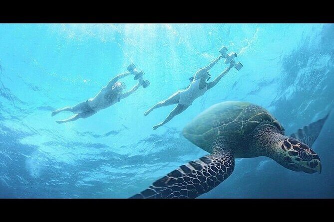 Snorkeling with Sea Scooters and Sea Adventure - Offshore - FAQ