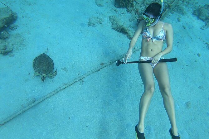 Snorkeling with Sea Turtles - Snorkeling with Sea Turtles in St. Croix: An Honest Review