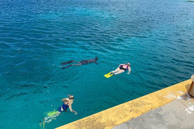Snorkeling with Sea Turtles - The Sum Up: Who Should Consider This Tour