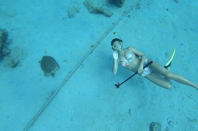 Snorkeling with Sea Turtles - Frequently Asked Questions