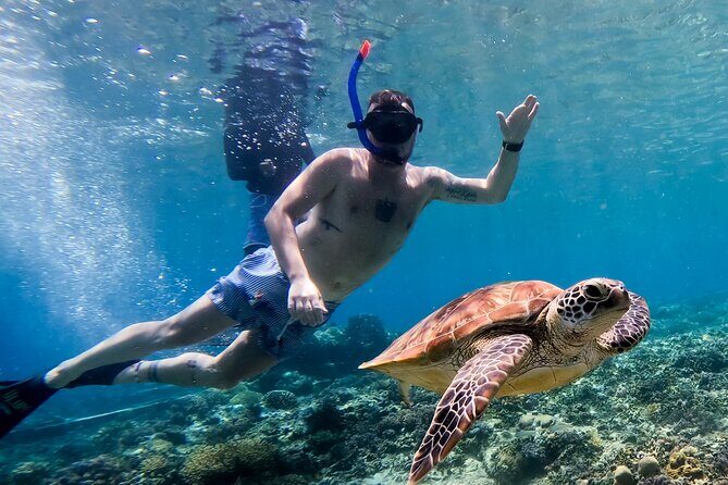 Snorkeling with turtle and statue in Gilis - FAQ