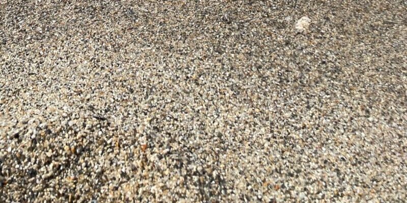 Snorkeling with turtles at Sao Pedro's Beach - Final Thoughts: Is It Worth It?