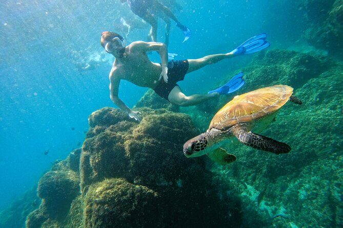 Snorkeling with turtles in Fujairah with BBQ lunch - Things to Consider Before Booking