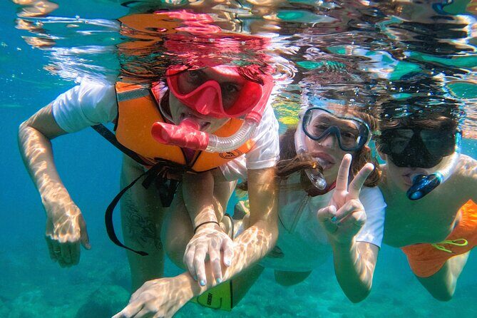Snorkeling with turtles in Fujairah with BBQ lunch - FAQ