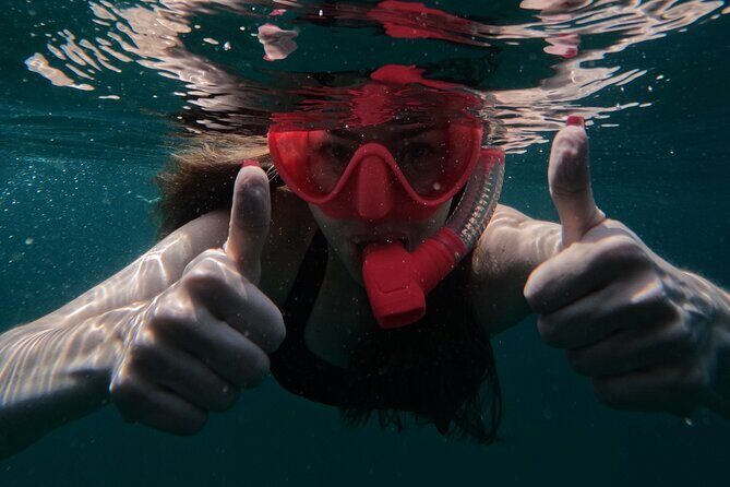 Snorkeling with turtles in Fujairah with Transfer & BBQ lunch - Insights from Reviews: What Travelers Loved