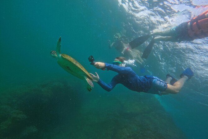 Snorkeling with turtles in Fujairah with Transfer & BBQ lunch - Practical Tips for Participants