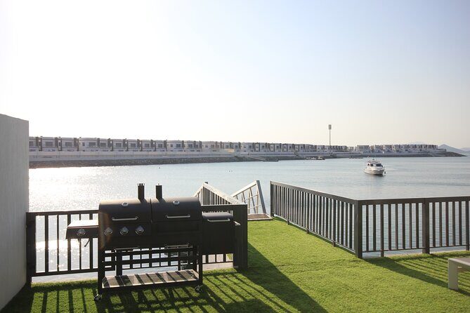 Snorkeling with turtles in Fujairah with Transfer & BBQ lunch - The Sum Up