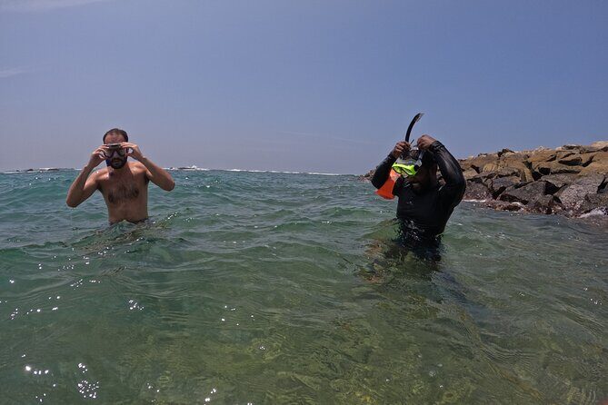 Snorkeling with Turtles in Mirissa - In The Sum Up