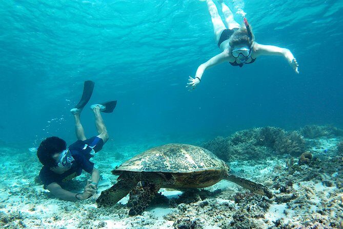 Snorkeling with Turtles on Gili Trawangan - Introduction: A Snorkeler’s Dream on Gili Trawangan