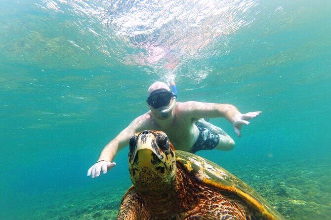 Snorkeling with Turtles on Gili Trawangan - Deep Dive into the Experience