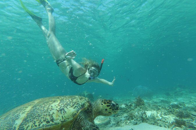 Snorkeling with Turtles on Gili Trawangan - FAQs About Snorkeling with Turtles on Gili Trawangan