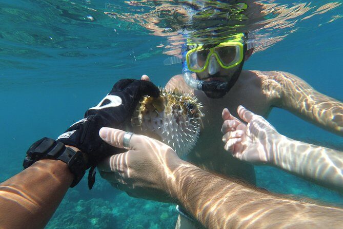 Snorkeling with Turtles on Gili Trawangan - Final Words: Is This Tour Worth It?