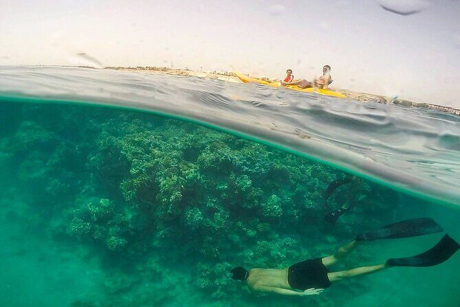 Snorkelling Adventure in Sharm El Luli Beach in Marsa Alam - Key Points