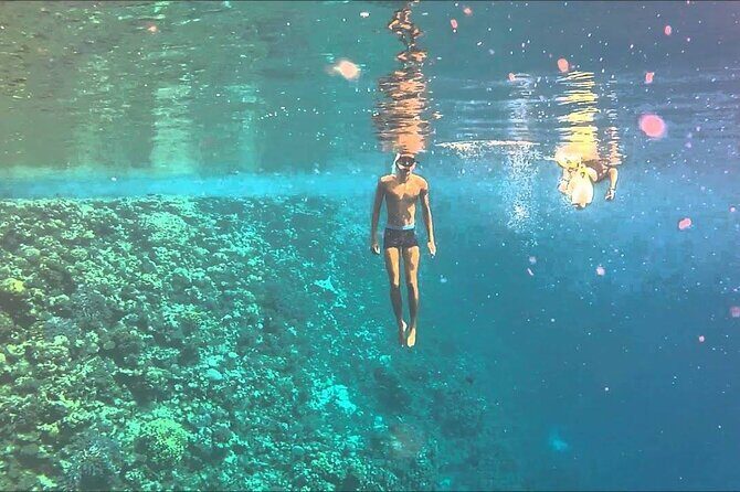 Snorkelling Adventure in Sharm El Luli Beach in Marsa Alam - The Practicalities and Value
