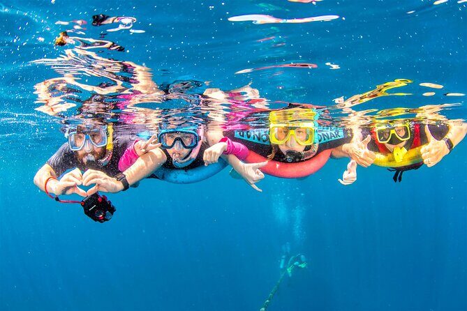 Snorkelling Adventure with Dugongs and Turtles in Marsa Mubarak - The Sum Up