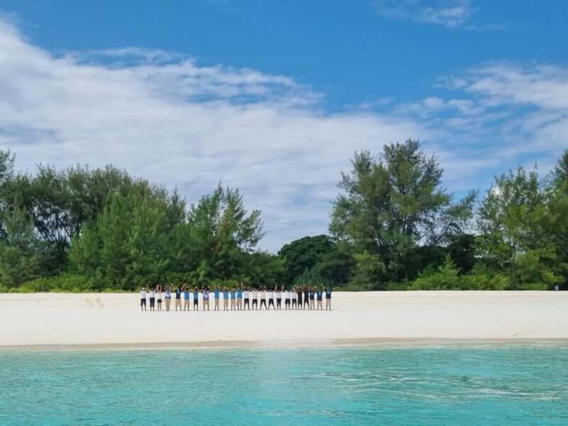 Snorkelling and Dolphin Watching at Mnemba Island - An Honest Look at the Experience