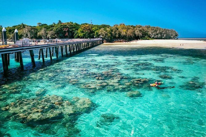 Snorkelling and Glass Bottom Boat at Green Island from Cairns - Key Points