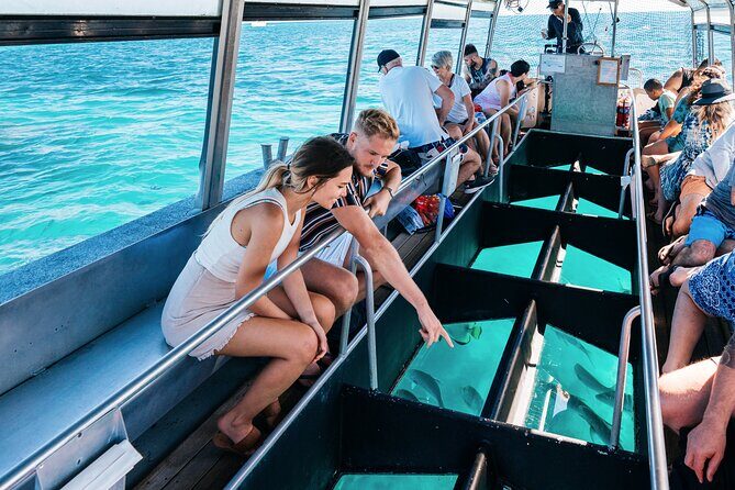 Snorkelling and Glass Bottom Boat at Green Island from Cairns - The Journey to Green Island