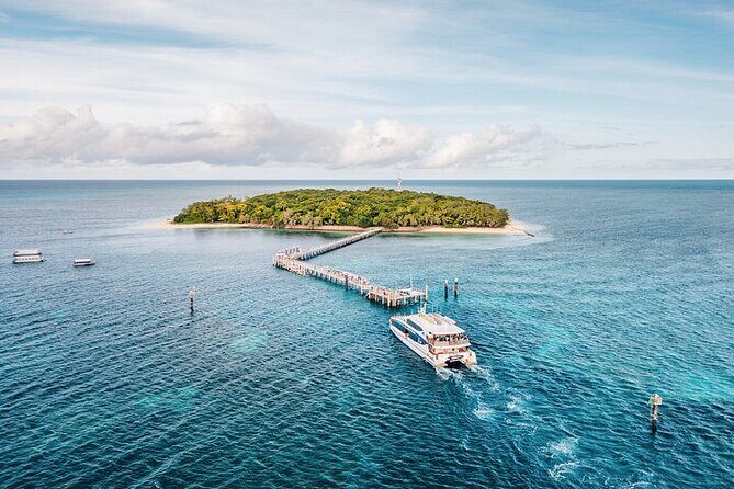 Snorkelling and Glass Bottom Boat at Green Island from Cairns - The Downsides and Challenges