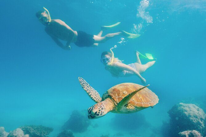 Snorkelling and Glass Bottom Boat at Green Island from Cairns - Final Thoughts