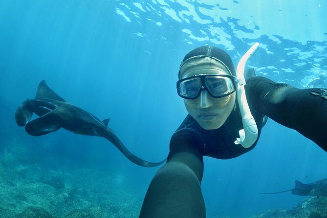 Snorkelling in Nusa Penida - Manta Point - A Detailed Look at What to Expect
