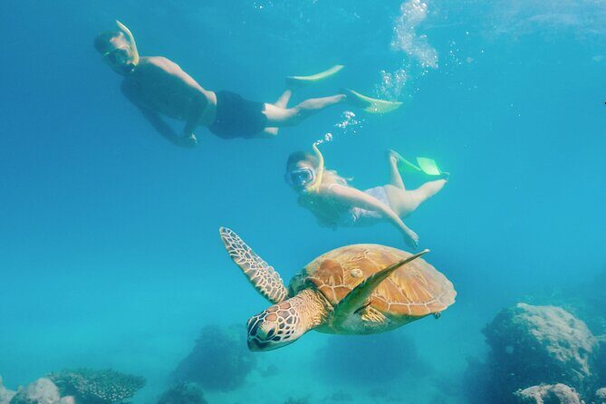 Snorkelling or Glass Bottom Boat at Green Island from Cairns - Exploring the Itinerary: What to Expect at Green Island