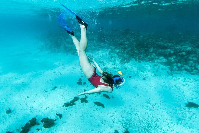 Snorkelling tours to Daymaniyat island - The Bottom Line