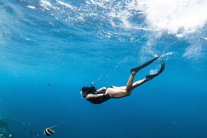 Snorkelling tours to Daymaniyat island - FAQ