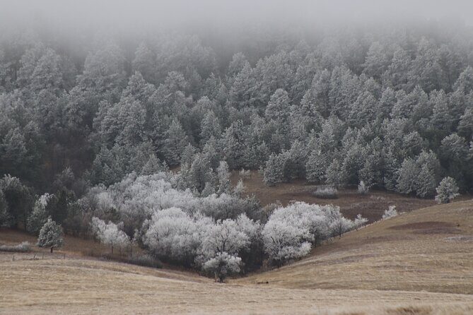 Snow-Capped Escapes: Black Hills in Winter - FAQs