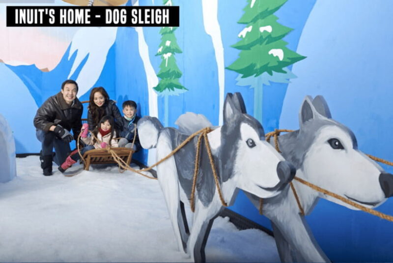 Snow City Singapore 1-Hour Play Ticket - Final Thoughts: Who Should Visit Snow City?