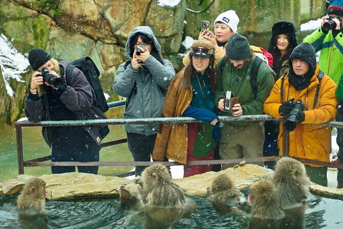 Snow Monkey, Hokusai & Sake: A Perfect Day in Nagano - Analyzing the Experience