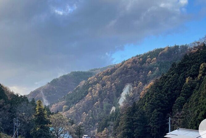 Snow Monkey Nagano Day Tour by Car English Driver in Person Guide - Who This Tour Is Best For