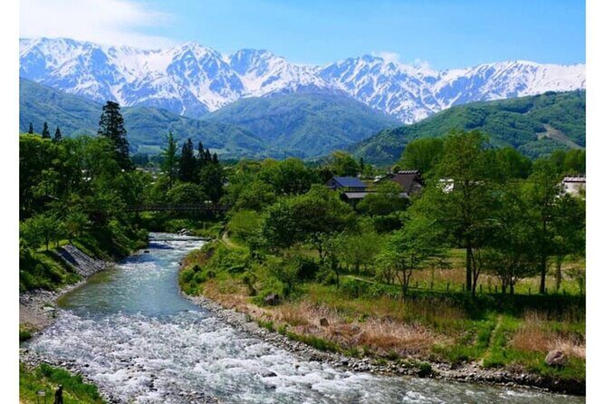 Snow Monkey Park and Zenko ji Temple Private Day Tour - The Sum Up