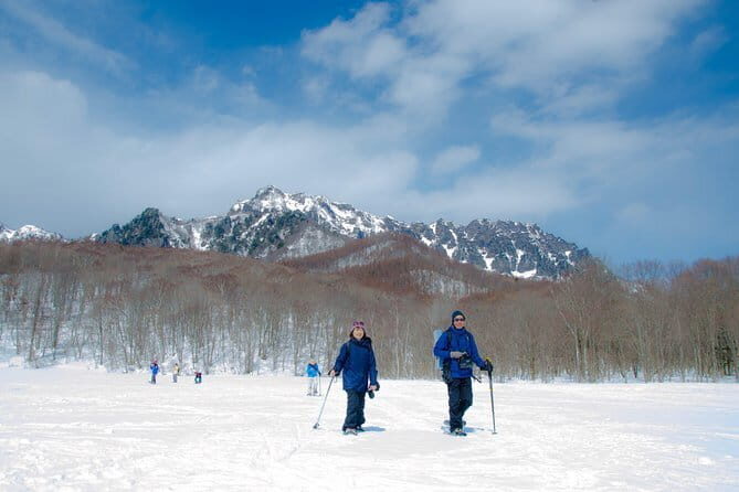 Snow Monkey & Shibu Onsen Private Tour (Nagano, Nozawa, Myoko) - Practical Details and Value