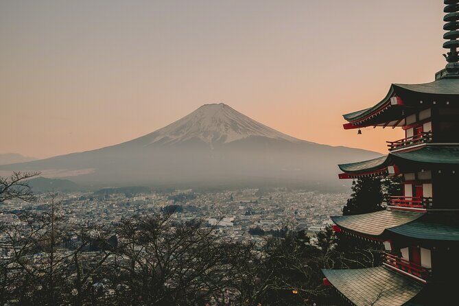 Snow monkeys from Tokyo: Full-Day Private trip with Local Guide - Key Points