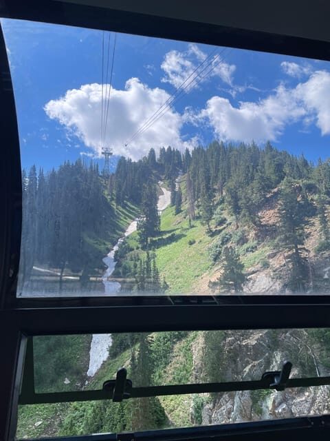 Snowbird Summer Excursion Day Tour - Key Points