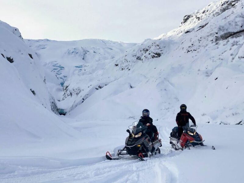 Snowmobile and Snowshoe Dual Adventure from Seward, AK - Scenic Highlights and Photo Opportunities
