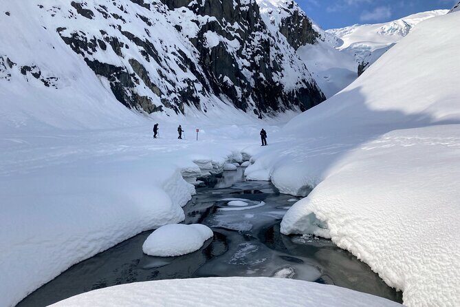 Snowmobile and Snowshoe Dual Adventure in Kenai Fjords NP - Why It Works and Who Will Love It