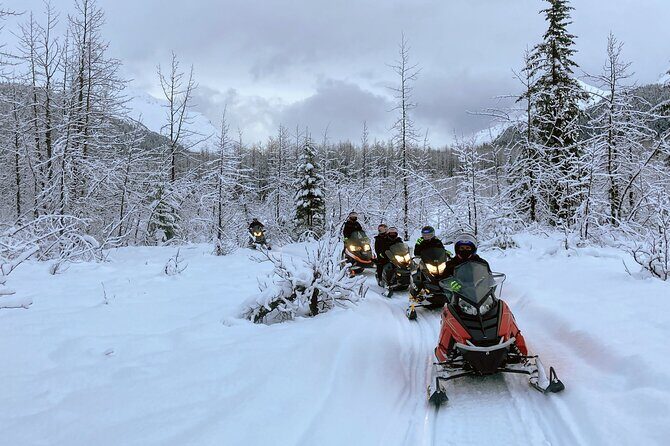 Snowmobile and Snowshoe Dual Adventure in Kenai Fjords NP - Final Thoughts