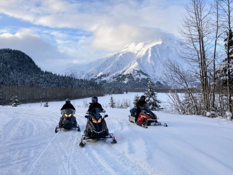 Snowmobile Classic Tour in Kenai Fjords National Park - Authentic Experiences from Reviews