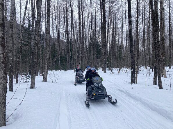 Snowmobile Classic Tour in Kenai Fjords National Park - What to Expect at Each Step of the Tour