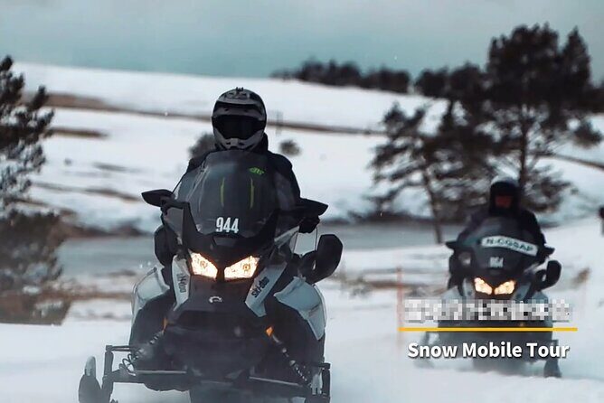 Snowmobile Guided Tour within The Date with Aurora in Alaska - Authentic Experiences and Traveler Feedback