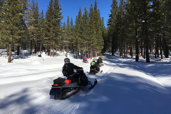 Snowmobiling Packages in the Sierra's from Reno, Nevada - Summary: Who Will Love This Experience?