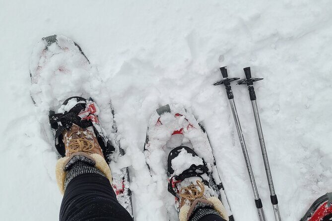 Snowshoe Adventure Frozen Falls and Firelight Tour - Key Points