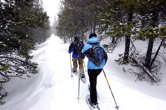 Snowshoe Adventure Frozen Falls and Firelight Tour - A Day in the Yukon Wilderness: What to Expect