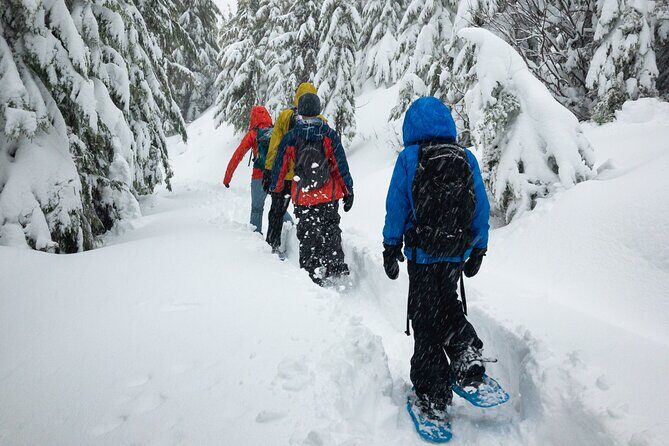 Snowshoe Rentals in South Lake Tahoe - An In-Depth Look at Snowshoe Rentals in South Lake Tahoe