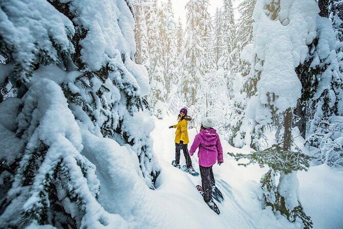 Snowshoe Rentals in South Lake Tahoe - The Sum Up: Who Is This Snowshoe Rental Best For?
